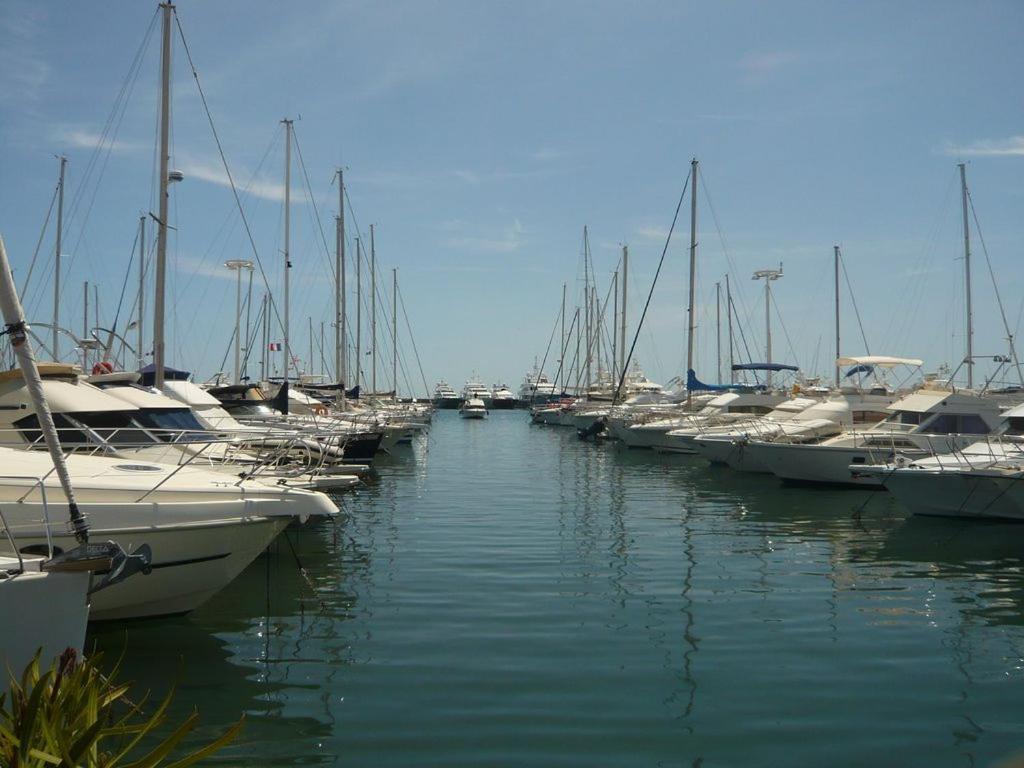 Charmant 2P Vue Mer Face Au Port De Golfe Juan Bagian luar foto