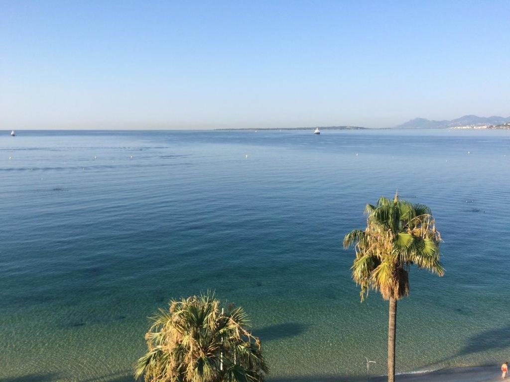 Charmant 2P Vue Mer Face Au Port De Golfe Juan Bagian luar foto